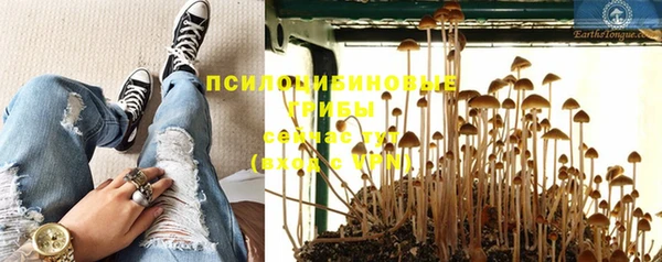a pvp Заволжск