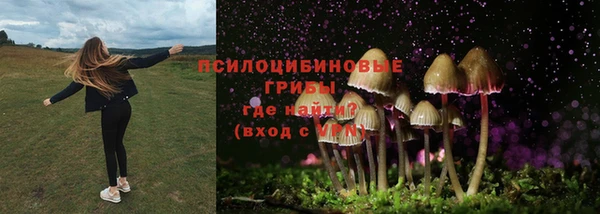 a pvp Заволжск