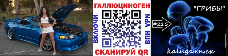 Купить  Великие Луки  Псилоцибиновые грибы Cubensis 
